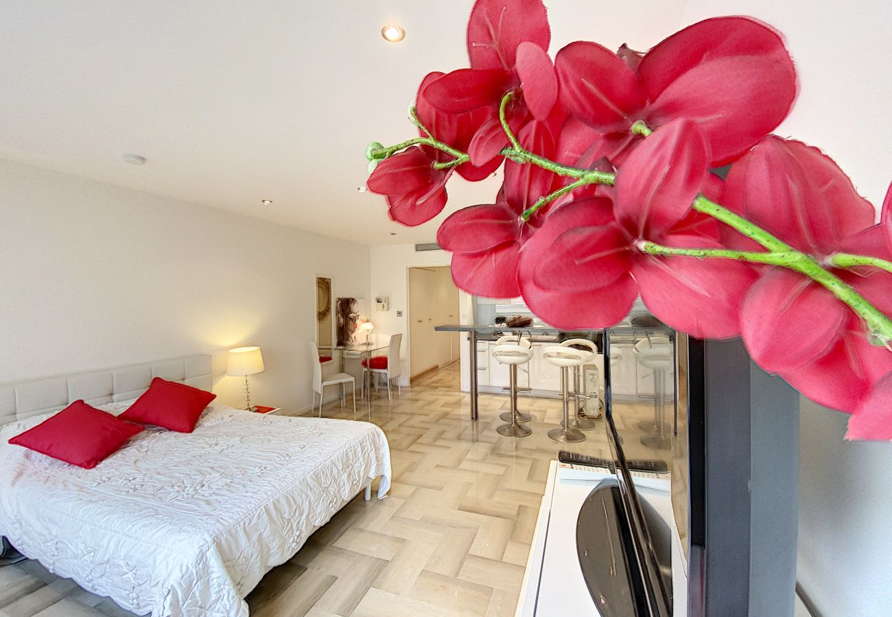 Studio in Cannes - THI235 Studio de charme au Gray d'Albion