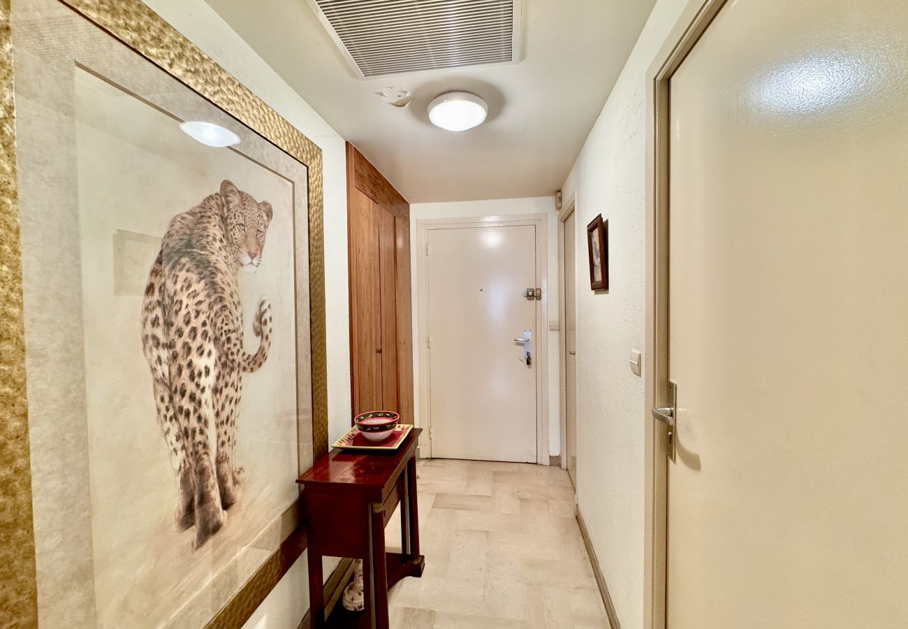 Studio in Cannes - Gray d'albion studio D vue mer de côté